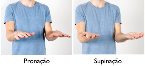 Principais Movimentos Do Corpo Humano Treino Correto principais-movimentos-do-corpo-humano-treino-correto